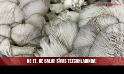 Ne Et, Ne Balık! Doğanın Bitkisel Eti Sivas Tezgahlarına İndi!