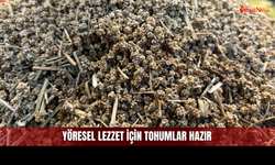 Bahçesi Olanlar Sivas'ın Yöresel Ürünü İçin Hazırlığa Başladı!