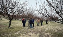 Sivas’ta Kritik Gece: Don Tehlikesi Kapıda!