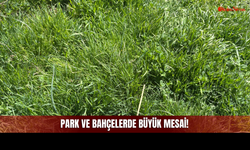 Havalar Isındı, O Korku Yeniden Uyandı