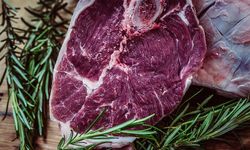 Sivas’ta Masaya Yatırıldı! Gelecekte Tabaklarımızda Et Yerine Ne Olacak?