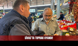 Sivas’ta Toprak Uyandı! Domates, Biber, Patlıcan Derken Köye Dönüş Hızlandı!