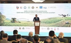 Sivas'a mega endüstriyel park yolda