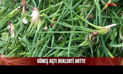 Sivas'ta Güneş Açtı Tezgahlardaki Beklenti Yükseldi!