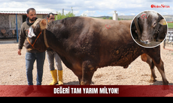 Geldiğinde 600 Kiloydu, Şimdi İkiye Katladı!