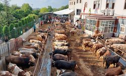 Kurban Keserken Sakın Bunu Yapmayın