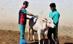 Sivas Valiliği'nden Uyarı: Bahar Geldi, Tehlike Kapıda