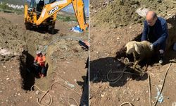 Suşehri’nde Boruya Düşen Kuzu İçin Zamanla Yarış
