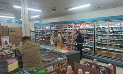 Ulaş'ta gıda denetimi yapıldı
