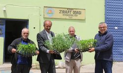 Sivas Zara'da Çiftçilere Fide Dağıtıldı!