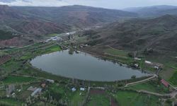 Serpincik Göleti Taşma Noktasına Geldi