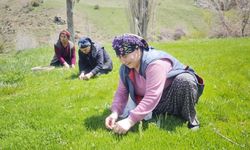 Sivas’ta Şiirlere Konu Olan Madımak