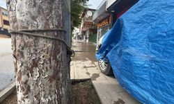 Tokat’ta taşkın önlemi görenleri şaşkına çevirdi