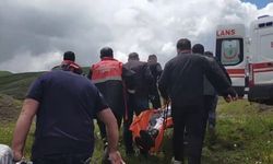 Sivas'ta mantar toplarken ayı saldırısına uğradı