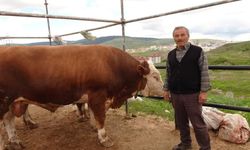 Kurban Bayramına saatler kala pazarlıklar hız kazandı