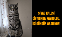 Sivas Kalesi Civarında Kayboldu, İki Gündür Aranıyor!
