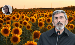 Bozkırın Sarı Çiçeği Ekonomiye Can Verdi!