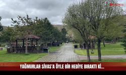 Toprak Kokusu ve Yeşilin Her Tonu! Sivas’taki O Alan Görsel Şölene Dönüştü