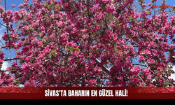 Sivas Cumhuriyet Üniversitesi’nde O Görüntüler Mest Etti!