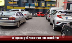 Sivas'ta Oraya Giren Çıkamıyor, Görenler Yolunu Değiştiriyor