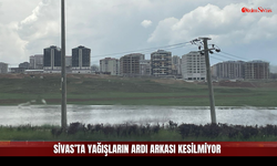 Sivas'ta Kilometrelerce Uzanan Alanlar Tanınmaz Halde