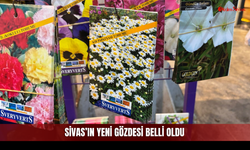 Sivaslılar Bu Kez Sevdikleri İçin Sıraya Girdi