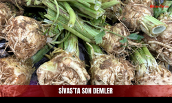 Mutfakların Sessiz Kahramanı İçin Sivas'ta Son Demler!