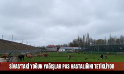 Sivas'taki Yoğun Yağışlar Pas Hastalığını Tetikliyor