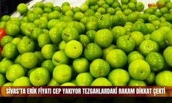 Sivas’ta erik fiyatı cep yakıyor tezgahlardaki rakam dikkat çekti