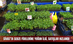 Sivas’ta sebze fidelerine yoğun ilgi satışlar hızlandı