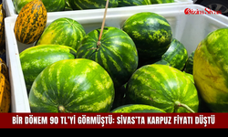 Bir dönem 90 TL’yi görmüştü: Sivas’ta karpuz fiyatı düştü