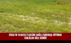 Sivas’ın Yıldızeli ilçesine bağlı Eşmebaşı köyünde tarlalar göle döndü