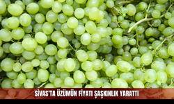Sivas'ta üzümün fiyatı şaşkınlık yarattı