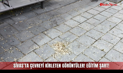 Sivas’ta Çevreyi Kirleten Görüntüler! Eğitim Şart!