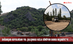 Doğanşar-Reşadiye Yolunda Süren Sessizlik Bölgeyi Zorluyor