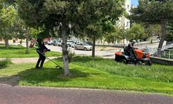 Sivas'ta Yeşil Alanlar Yaza Hazırlanıyor