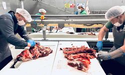 Kurban Bereketi İhtiyaç Sahipleriyle Paylaşılıyor