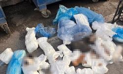 Türkiye’nin Konuştuğu Olayda Yeni Karar Tutuklandı