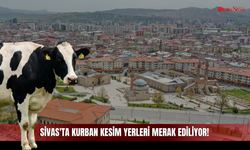 Sivas'ta Kurban Bayramı Yaklaşırken Kurban Kesim Yerleri de Merak Ediliyor!