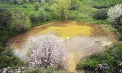 Sivas'ta Dipsizgöl'ün Turkuaz Rengi Çamurla Kaplandı