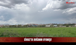 Yağmur Yağdı, Sivas Yeniden Doğdu!