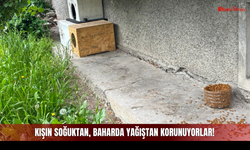 Kışın Soğuktan, Baharda Yağıştan Korunuyorlar!