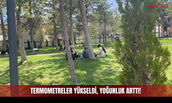 Sivas'ta Yeşil Alanlardaki Yoğunluk Arttı!
