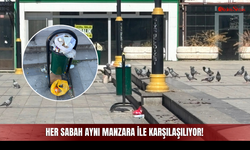 Her Sabah Aynı Manzara İle Karşılaşılıyor!