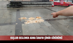Kuşları beslemek adına israfın çirkin görünümü