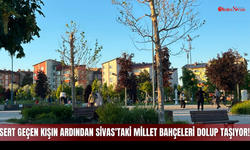 Sert Geçen Kışın Ardından Sivas'taki Millet Bahçeleri Dolup Taşıyor!