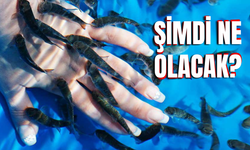 Sivas'ın Kangal Balıklı Çermik Turizm Merkezi Cumhurbaşkanı Kararıyla İptal Edildi!