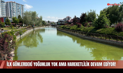 Açıldığı İlk günlerdeki Beklenti Olmasa da Hareketlilik Devam Ediyor!
