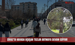 Sivas'ta Havada Uçuşan Tozlar Artmaya Devam Ediyor!