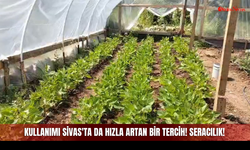 Kullanımı Sivas'ta da Hızla Artan Bir Tercih! Seracılık!